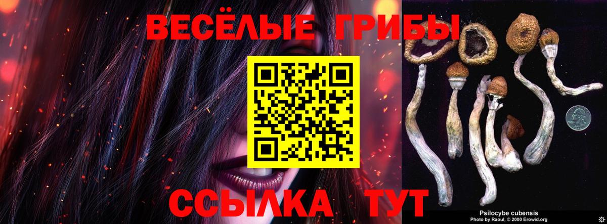 Галлюциногенные грибы прущие грибы  Вход с VPN  Галлюциногенные грибы GOLDEN TEACHER  Бахчисарай 
